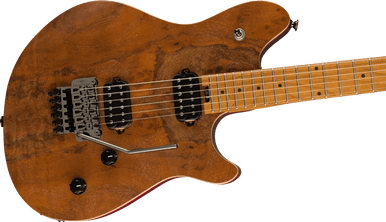 EVH ギター EVH Eddie Van Halen Wolfgang Special Electric Guitar | zZounds