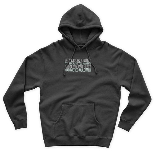 If I Look Quiet It's Because You Haven't Seen Me With My Hammered Dulcimer Unisex Hoodie