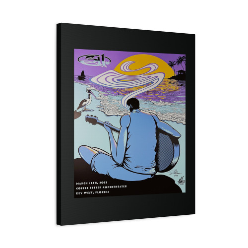 311 Gig Canvas Print Poster