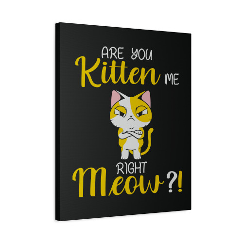 Are You Kitten Me Right Meow Funny Canvas Print Poster