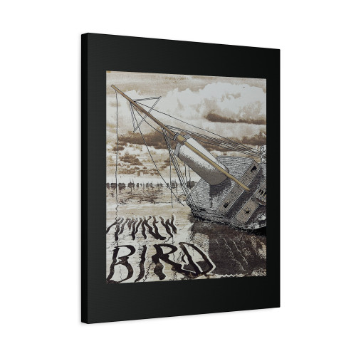 Andrew Bird - 2016 Andy Schmidt Poster Canvas Print Poster