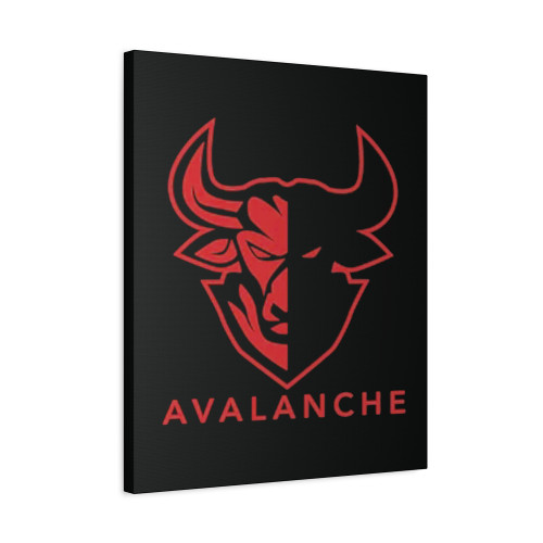 Avalanche Canvas Print Poster