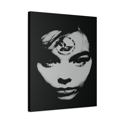 Bjork 1995 Vintage Vibe Canvas Print Poster