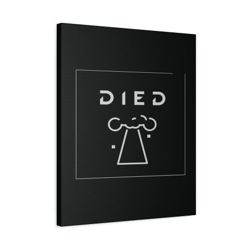 Avicii Died Canvas Print Poster