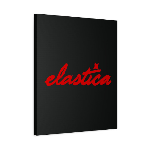 Elastica Canvas Print Poster