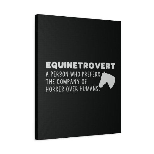 Equinetrovert Funny Horse Canvas Print Poster