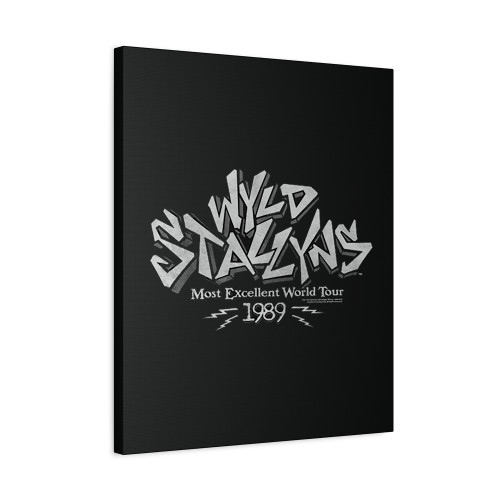 Bill And Ted Wyld Stallyns Most Excellent World Tour Canvas Print Poster
