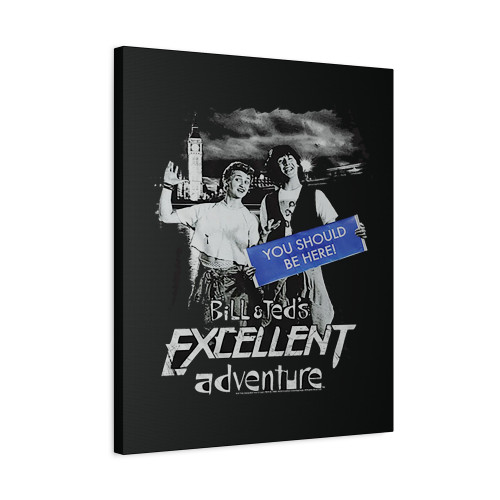 Bill And Teds Excellent Adventure You Should Be Here Canvas Print Poster
