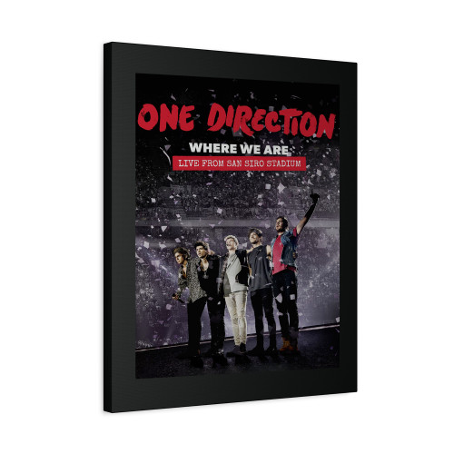 One Direction Where We Are The Concert Film Canvas Print Poster