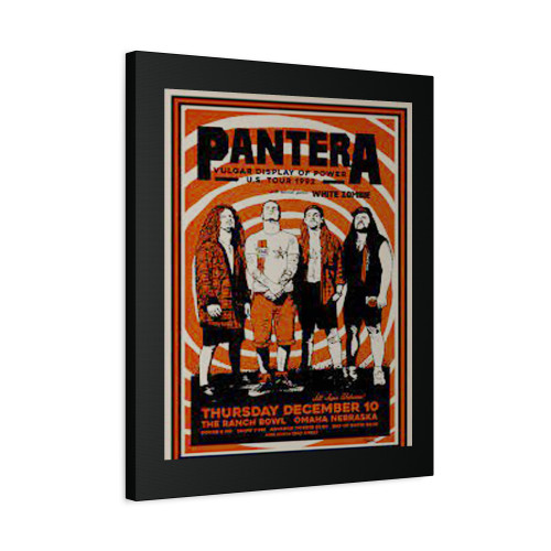 Pantera Concert Canvas Print Poster