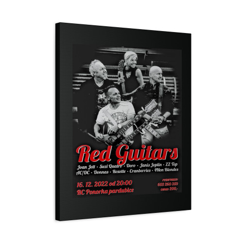 Pardubice Canvas Print Poster