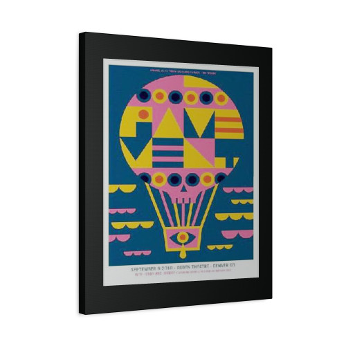 Pavement Stephen Malkmus Concert Canvas Print Poster