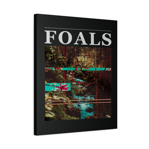 Foals Canvas Print Poster