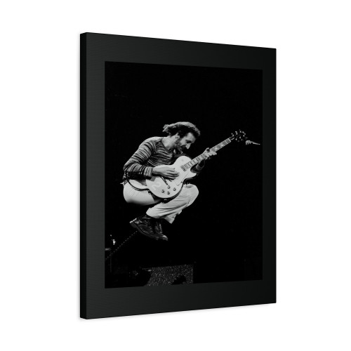 Pete Townshend Vintage Concert Photo 1 Canvas Print Poster