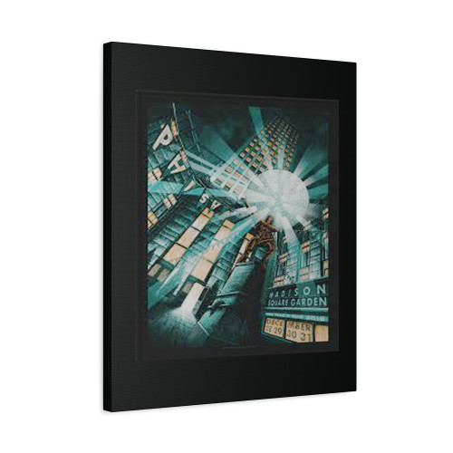 Phish Concert 3 Canvas Print Poster
