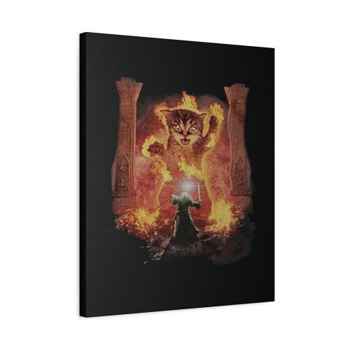 Cats Kittens Kitty You Shall Not Pass Fire Flames Gandalf Catdalf Canvas Print Poster