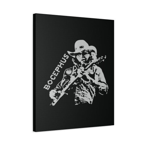 Hank Jr Bocephus Canvas Print Poster