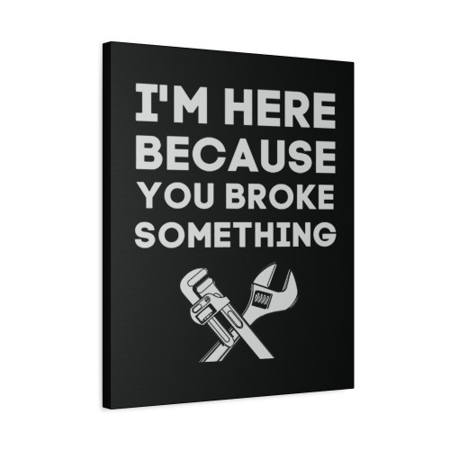 Im Here Because You Broke It Canvas Print Poster