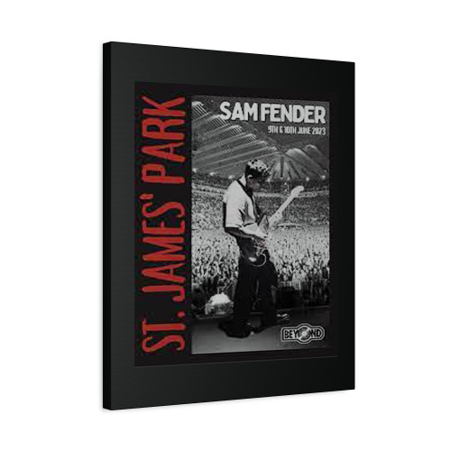 Sam Fender St. James Park Potser Canvas Print Poster