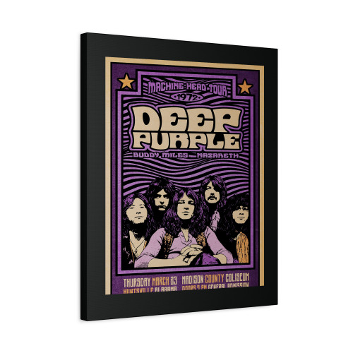 Deep Purple Concert Canvas Print Poster