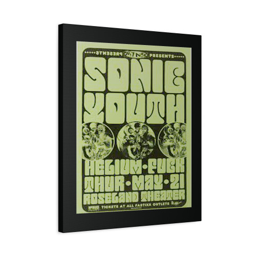 Sonic Youth Concert Canvas Print Poster