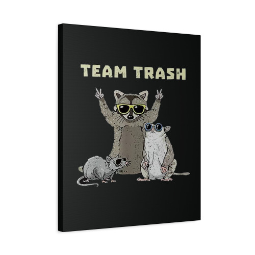 Team Trash Opossum Raccoon Rat Funny Animals Garbage Gang Canvas Print Poster