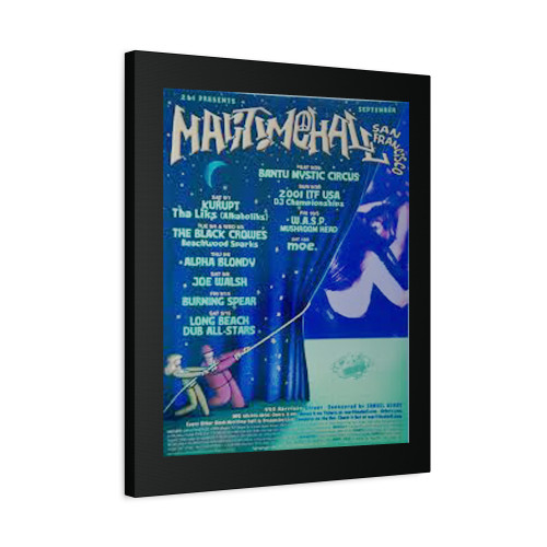 The Black Crowes Concert Canvas Print Poster