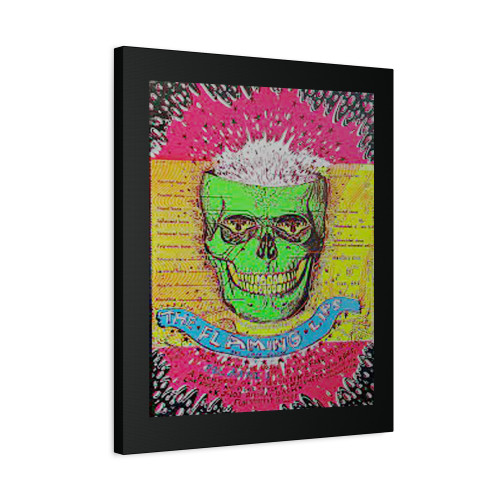 Flaming Lips 1994 Ok.City State Fair Arena Wayne Coyne Silkscreen Canvas Print Poster