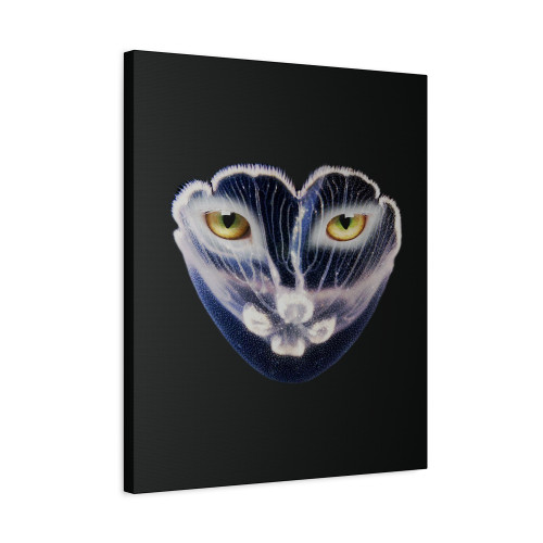 Galantis You Face Cover Canvas Print Poster