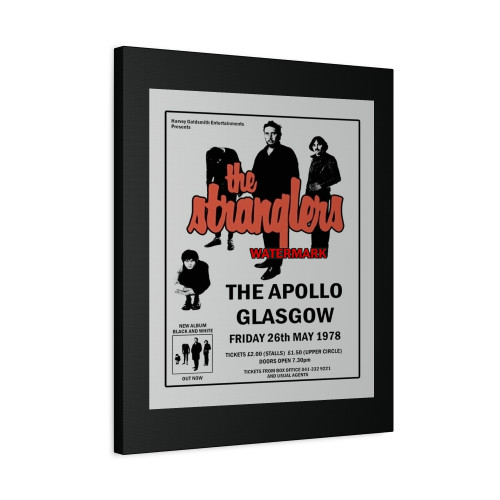 The Stranglers Gig Canvas Print Poster