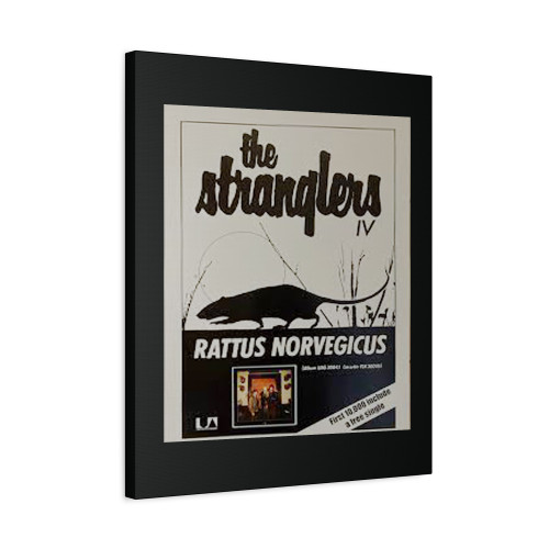 The Stranglers Rattus Norvegicus Canvas Print Poster