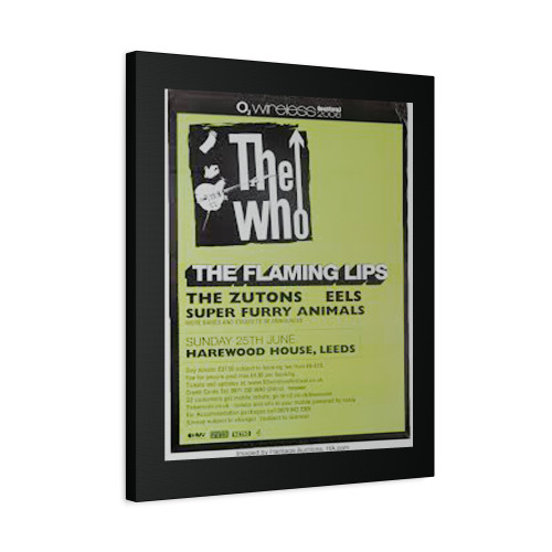 The Who Flaming Lips Large Concert Canvas Print Poster
