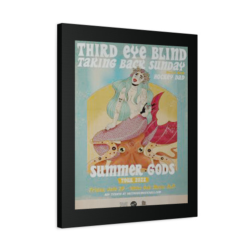 Third Eye Blind Summer Gods 2022 Tour Houston Concert Canvas Print Poster