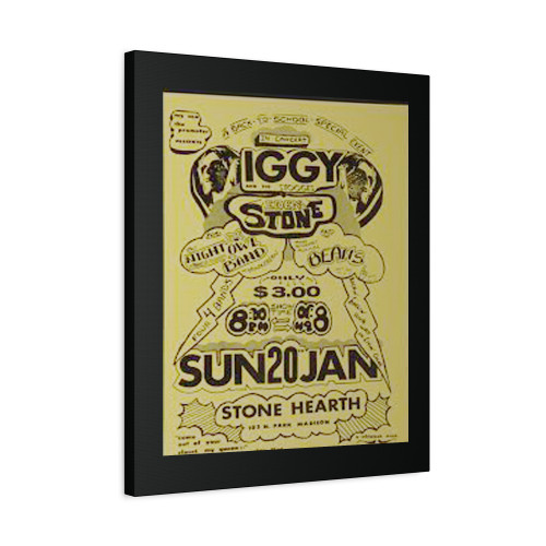 Iggy & The Stooges 1974 Madison Wi Concert Canvas Print Poster