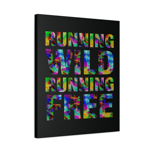 X Ambassadors Lyrics Renegades Canvas Print Poster