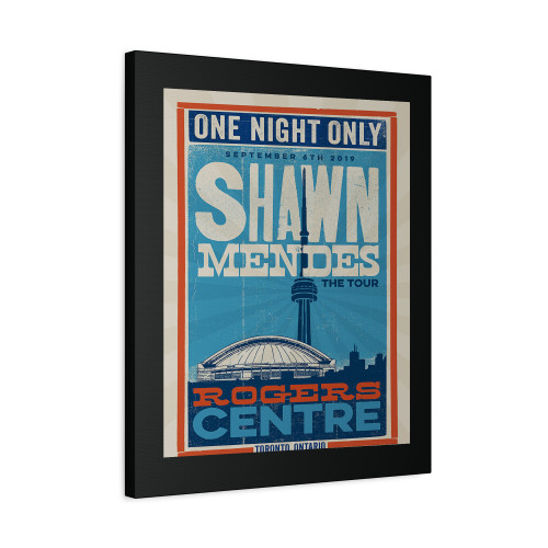 Shawn Mendes Canvas Print Poster