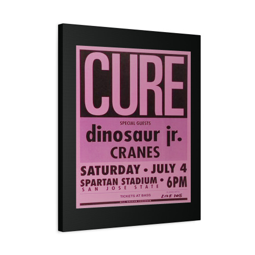 The Cure 2 Canvas Print Poster