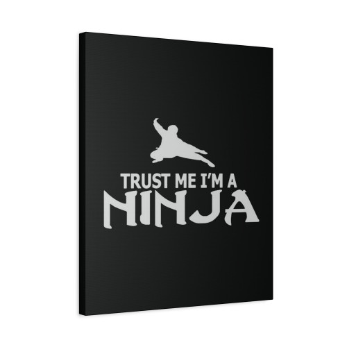 Trust Me Im A Ninja Canvas Print Poster