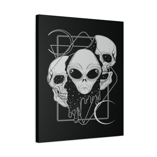 Von Kowen Who Are We Canvas Print Poster