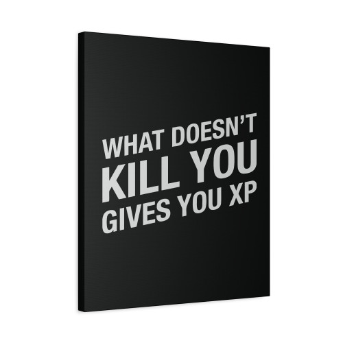 What Doesnt Kill You Gives You Xp Canvas Print Poster