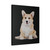 Corgi Puppy 02 Canvas Print Poster