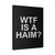 Wtf Is A Haim Canvas Print Poster