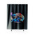 Stitch Toothless How To Train Your Dragon Shower Curtains