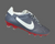 THE NIKE PREMIER III FG