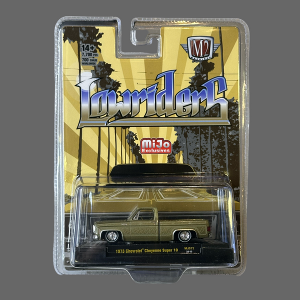 M2 1973 CHEVY CHEYENNE SUPER 10 MJS72 24-13