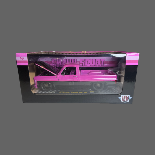 M2 1979 CHEVY SCOTTSDALE CHEVY SPORT R143 26-12