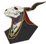 The Ancient Magus Bride