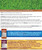 MicroLife Brown Patch 5-1-3 - All Organic Biological Fertilizer