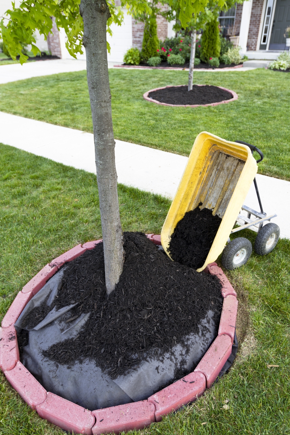 Mulch