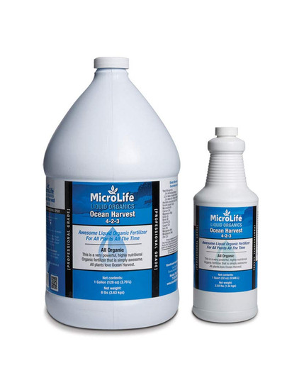 ML00616_Qt_and_Gallon__00660.